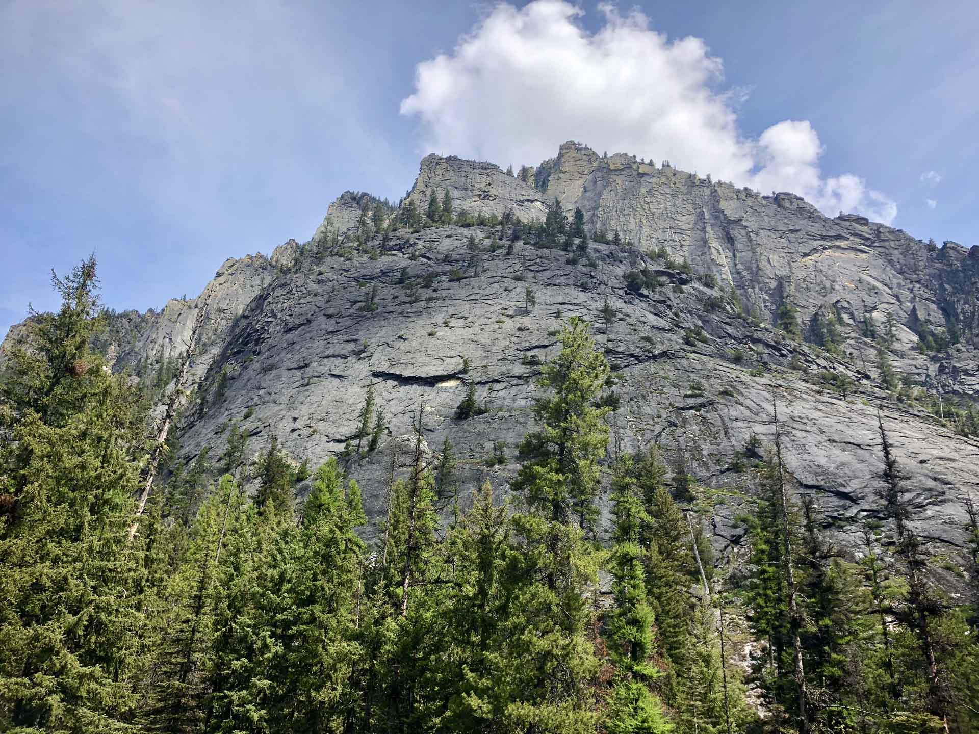 Bitterroot Valley Real Estate