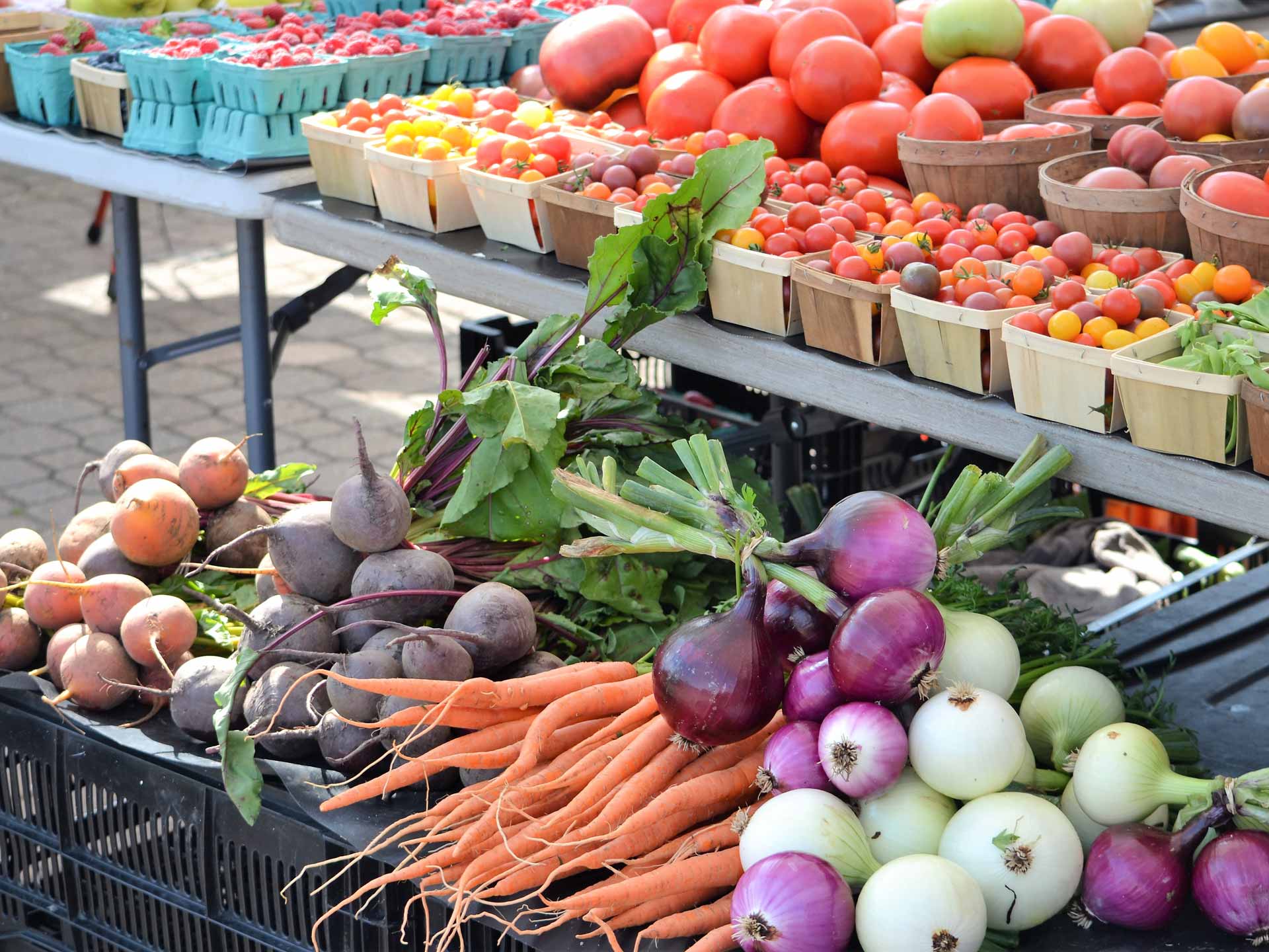 Bitterroot Valley Real Estate