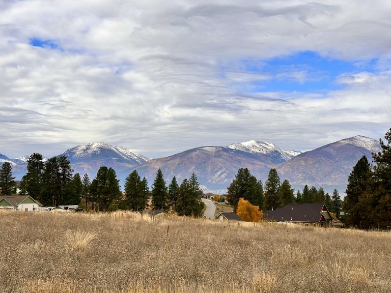 Lot 19 Jenne Ln Florence, MT